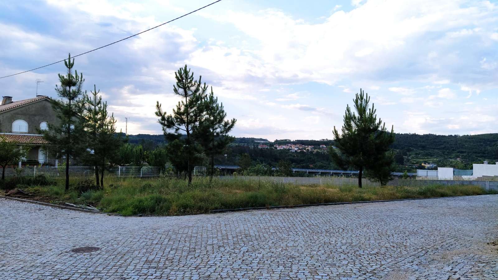 IMG-20250319-WA0002